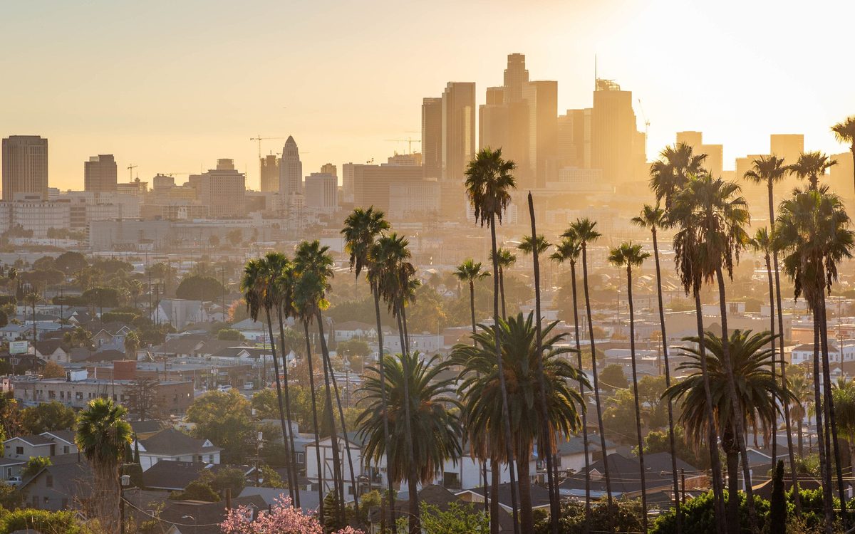 Downtown Los Angeles skyline behind rows of palm trees
